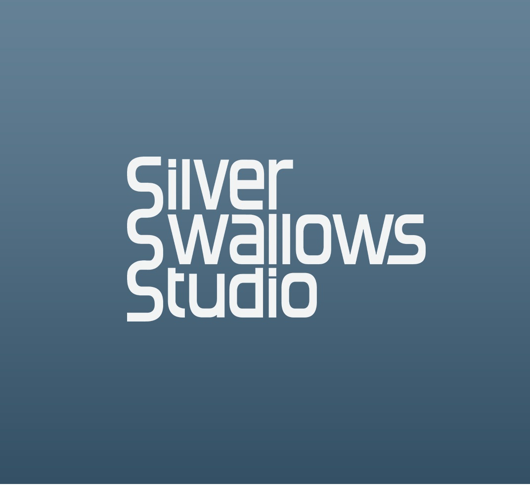 Silver Swallows Studio - Đại học Duy Tân